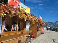 Your Practical Guide to the West Kowloon Mid-Autumn Lantern Displays