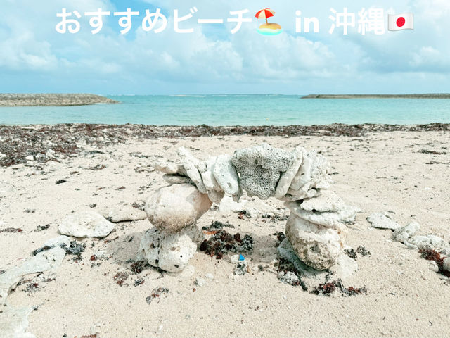 【沖縄🇯🇵】綺麗な貝殻を見つけられるおすすめビーチ🐚🪸