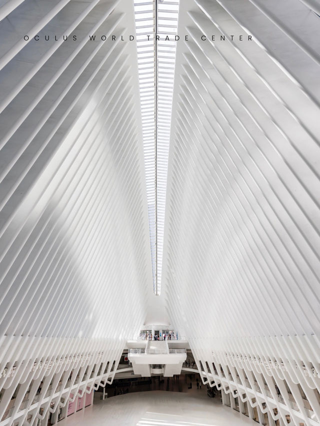 【紐約新舊地標巡禮】這座城市永遠有驚喜!✨ 【紐約新舊地標巡禮】這座城市永遠有驚喜!✨