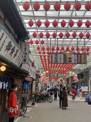 Enjoy Showa retro atmosphere and the latest attractions at Seibuen Amusement Park 🎡🎆