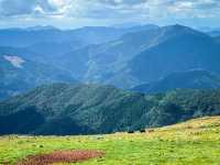 【愛媛】天空の草原 四国カルスト・姫鶴平🐮⛰️