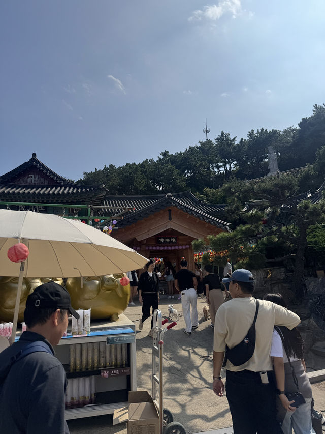 부산 해동용궁사, 바다와 함께 걷는 완벽한 하루  부산 해동용궁사, 바다와 함께 걷는 완벽한 하루