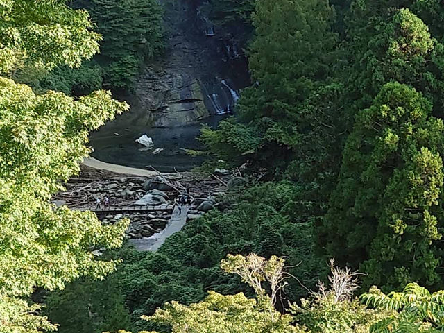 自然満喫ツアー