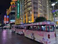 ถนนคนเดินหนานจิง (Nanjing Road Pedestrian Street) 
