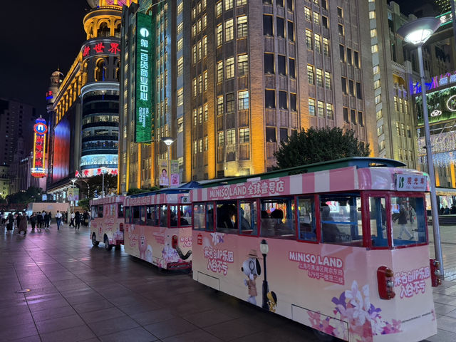 ถนนคนเดินหนานจิง (Nanjing Road Pedestrian Street) 