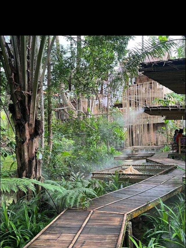🌳✨ บ้านไร่ไออรุณ – สวรรค์เล็ก ๆ กลางหุบเขา ระนอง