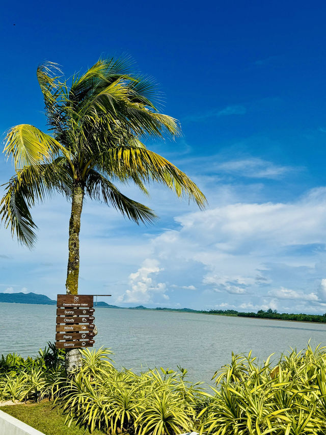 🌅 Tranquil Escape at Cove 55, Kuching