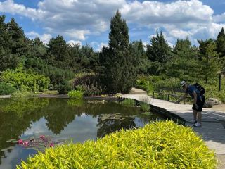 Dendrological Garden