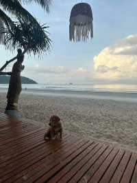 Bamboo bungalow @เกาะพยาม
