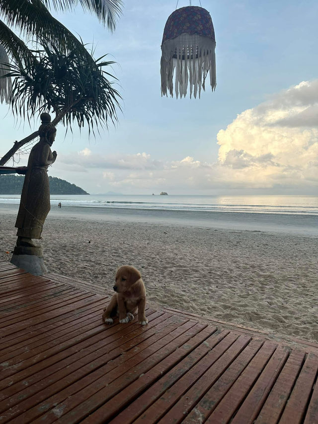 Bamboo bungalow @เกาะพยาม