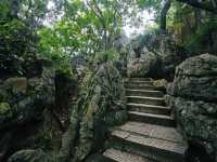 Nature's Artistry at Stone Forest Bishuyuan
