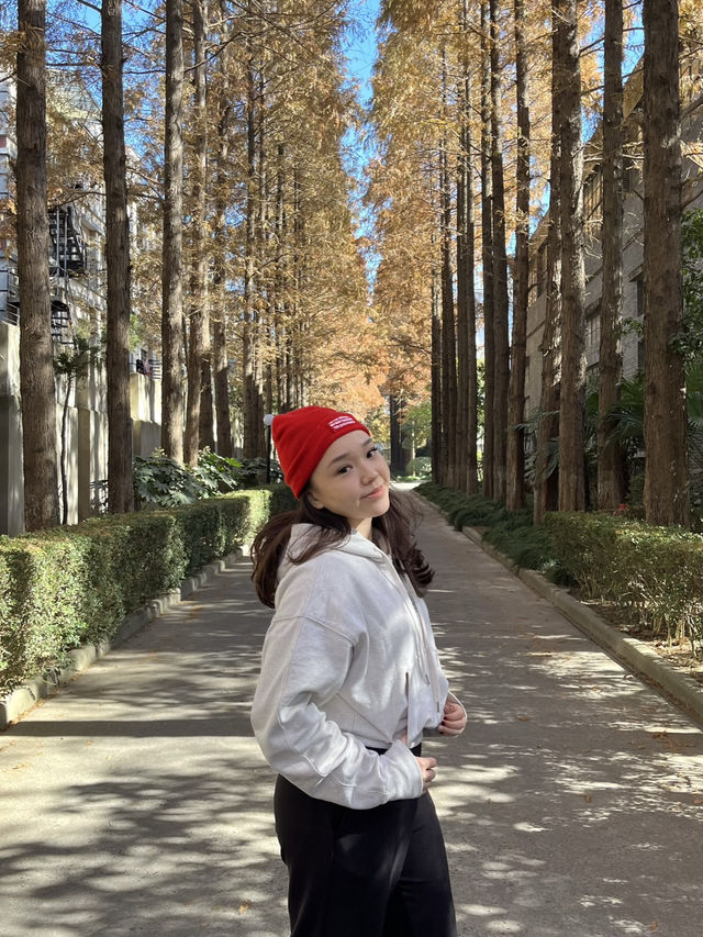 Shanghai Photo Spot 📸