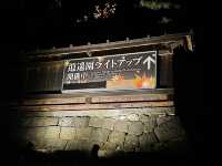 【秋の日光】おすすめスポット