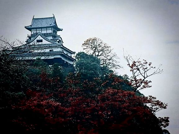 The Oldest Guardian: My Solo Visit to Inuyama Castle, Aichi