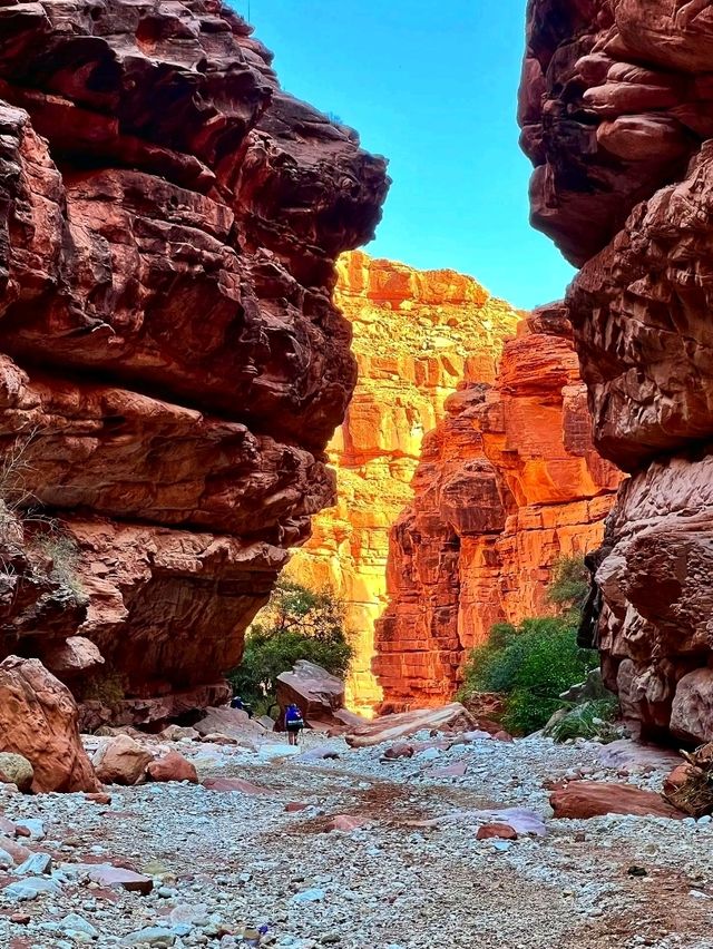 💦 Havasu Falls – Arizona’s Hidden Paradise