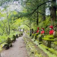The Stone Guardians of Nikko: My Solo Walk Through Kanmangafuchi Abyss