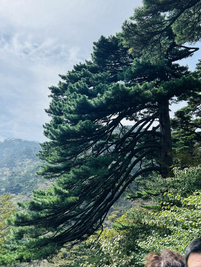 十月份的黃山
