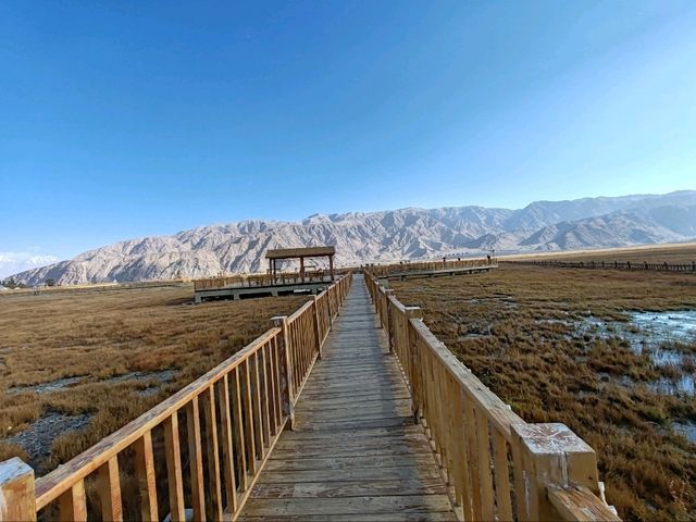 Autumn Wetlands and Snow-Capped Peaks Reflecting Each Other in Taxkorgan