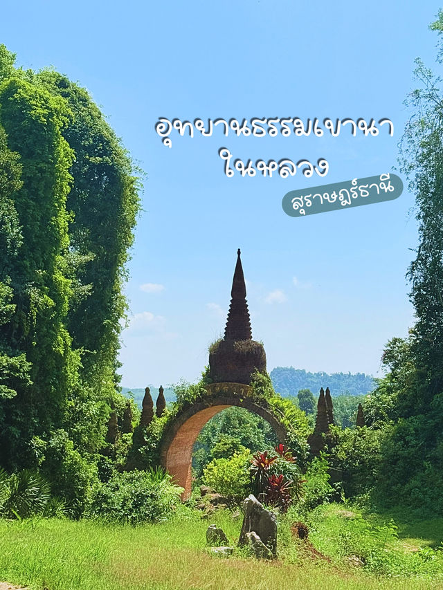 เที่ยวสุราษฎร์แบบอันซีน 🛕