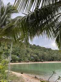 Koh Talu Splash🌴