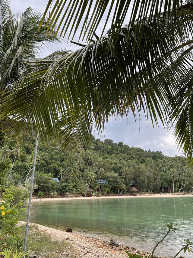 Koh Talu Splash🌴