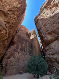 Where Ancient Wonders Meet Desert Serenity
