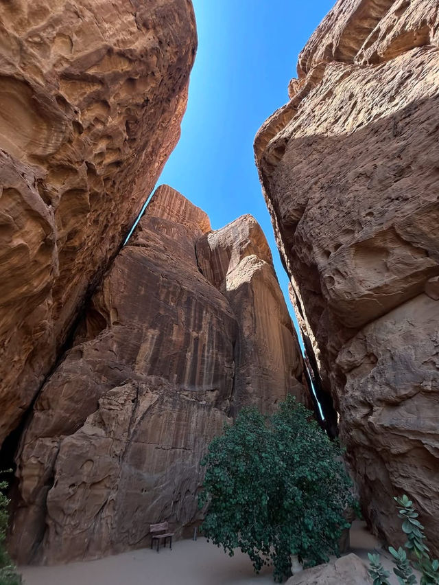Where Ancient Wonders Meet Desert Serenity