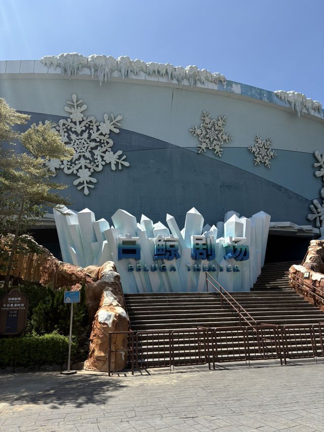 Zhuhai Chimelong Ocean Kingdom 🎡🐬