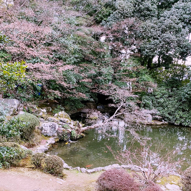 🍂 “Crimson Whispers at Zuishin-in Temple”