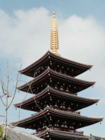 Tokyo Temple Days⛩️