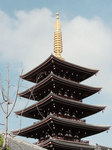 Tokyo Temple Days⛩️