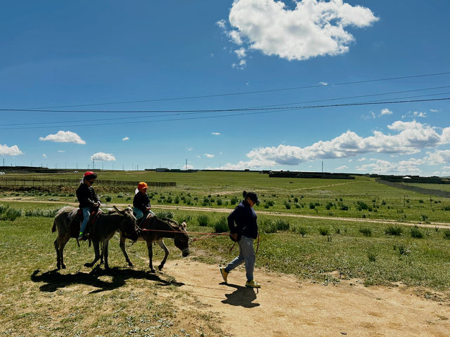 ［モンゴル］子どもに体験させたい！