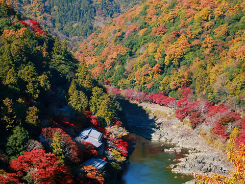 Autumn in Kansai