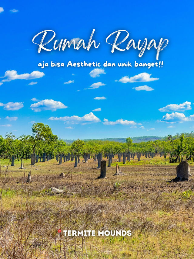 Ternyata begini jelajah kota DARWIN✈️