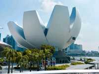 Singapore's Must-See: Dive into Digital Magic at ArtScience Museum! 🖼️💡