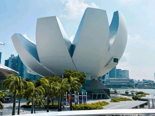 Singapore's Must-See: Dive into Digital Magic at ArtScience Museum! 🖼️💡