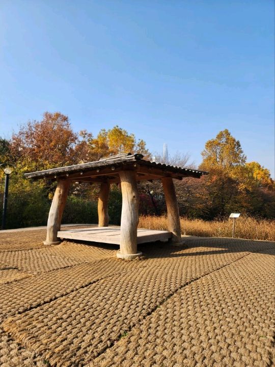 ⭐서울 올림픽공원 하루 코스 – 거대한 엄지상 구경하고, 가을 댑싸리 걷고, 청와옥에서 마무리!