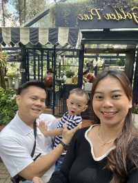 Orchid Forest cikole