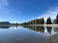 カレンダーで見たことある！？｜ワナカツリー🌲