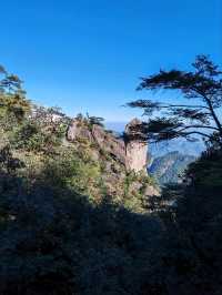 The Triple-Stacked Tortoise