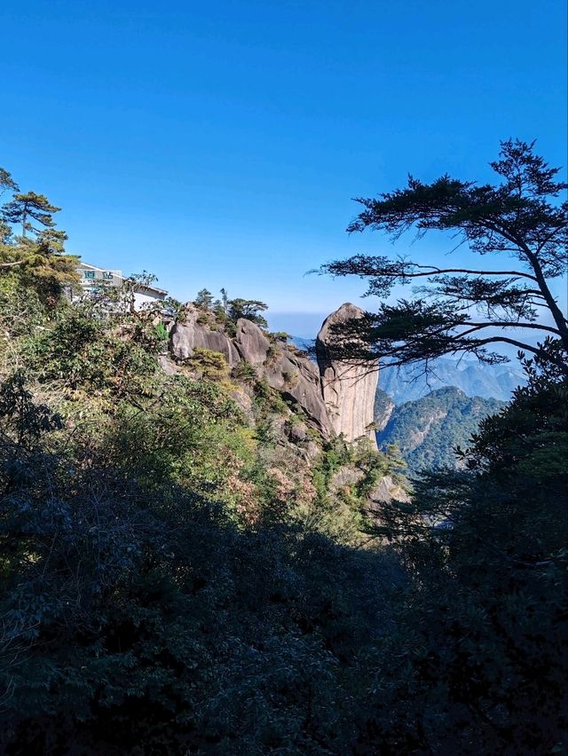 The Triple-Stacked Tortoise