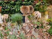 Colorful Vibes at Prague’s Iconic Lennon Wall 🎨✨