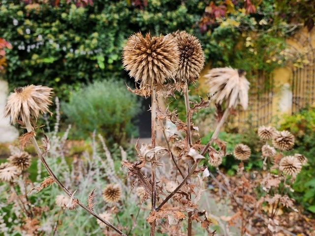 Colorful Vibes at Prague’s Iconic Lennon Wall 🎨✨ Colorful Vibes at Prague’s Iconic Lennon Wall 🎨✨