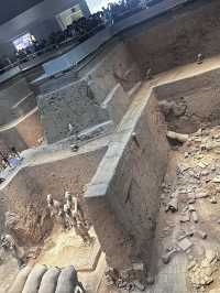 日落雲霧裡的貓影西安