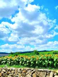 ์ฌ๊ธฐ ๊ฐ๋ฉด ์ฌ์ง ์ง์ฌ 300์ฅ ์ฐ๊ณ ๋์ต๋๋ค. ๊ฐ์คํ์ธ์ ๐ธ