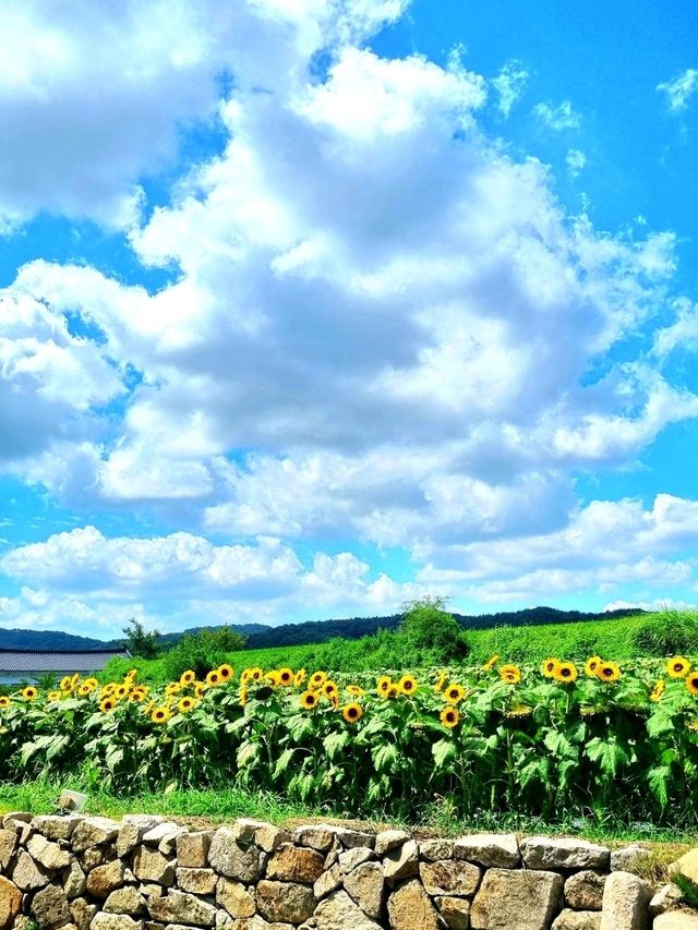 ์ฌ๊ธฐ ๊ฐ๋ฉด ์ฌ์ง ์ง์ฌ 300์ฅ ์ฐ๊ณ ๋์ต๋๋ค. ๊ฐ์คํ์ธ์ ๐ธ ์ฌ๊ธฐ ๊ฐ๋ฉด ์ฌ์ง ์ง์ฌ 300์ฅ ์ฐ๊ณ ๋์ต๋๋ค. ๊ฐ์คํ์ธ์ ๐ธ