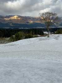 🏯❄️心も体も満たされる！最高の冬の熊本旅レポート！🥩♨️