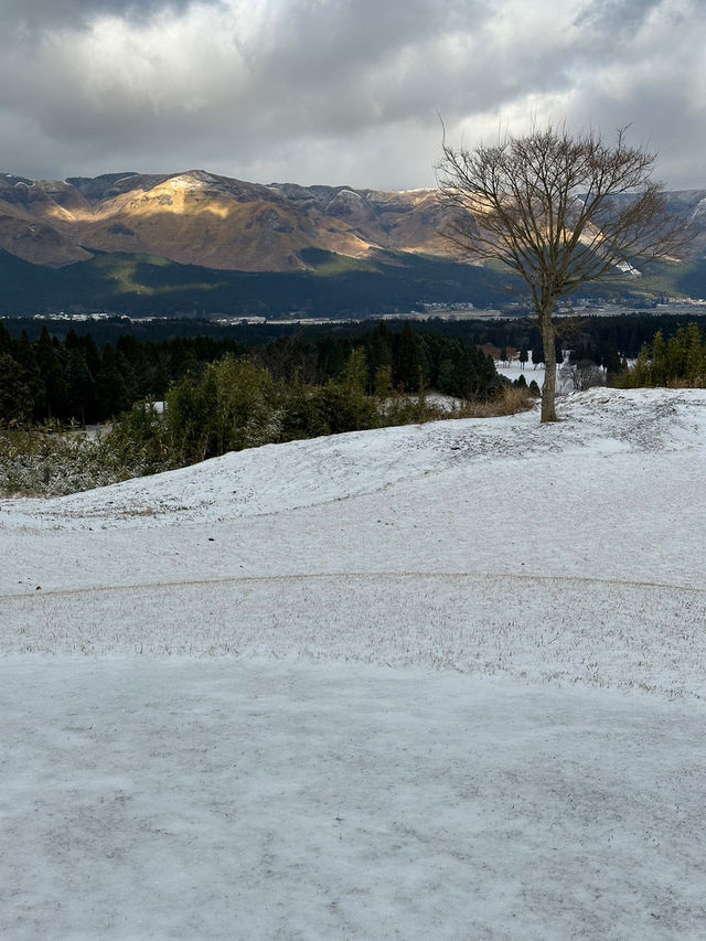 🏯❄️心も体も満たされる！最高の冬の熊本旅レポート！🥩♨️