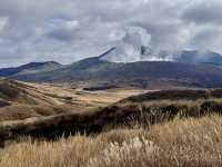 🍂秋日阿蘇山:米塚的金色光影、草千里的高原風、火山的震撼能量