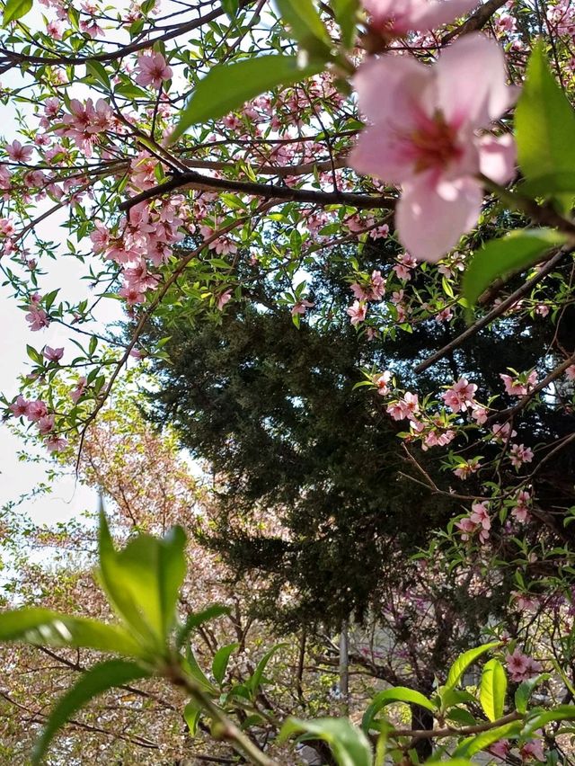 在安靜的巷弄裡,當個無聲的過客 在安靜的巷弄裡,當個無聲的過客